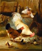unknow artist Cocks 139 oil painting picture wholesale
